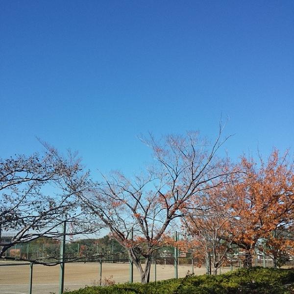 公園　太尾公園（公園）まで391m