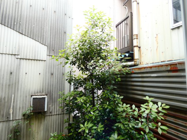 眺望　ストーク新城