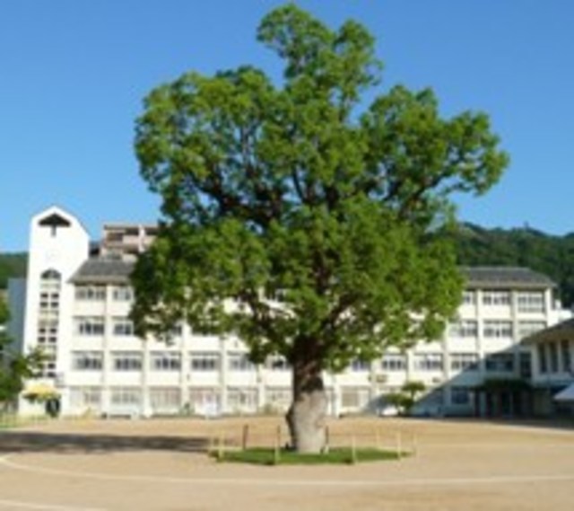 小学校　神戸市立こうべ小学校（小学校）まで834m