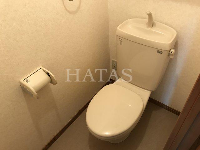 トイレ　同物件別部屋です。