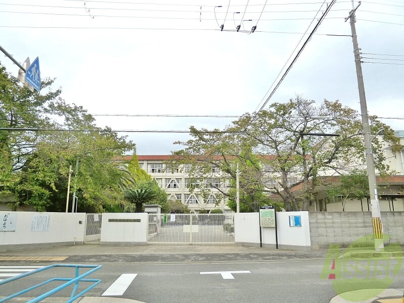 小学校　北条小学校（小学校）まで504m
