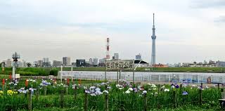 公園　堀切水辺公園（公園）まで232m