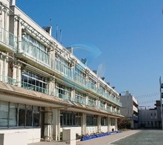 小学校　浦安市立南小学校（小学校）まで480m