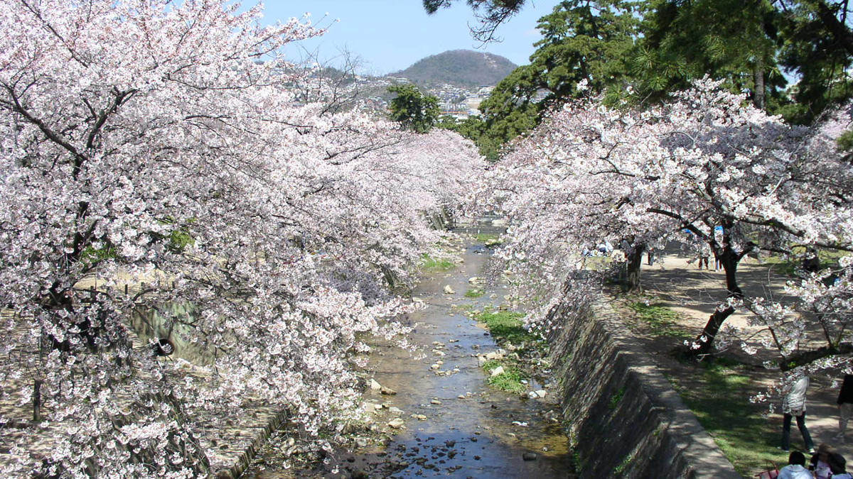 夙川雲井町パークハウスの周辺写真