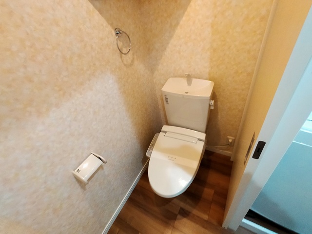 パークアベニュー国見のトイレ写真