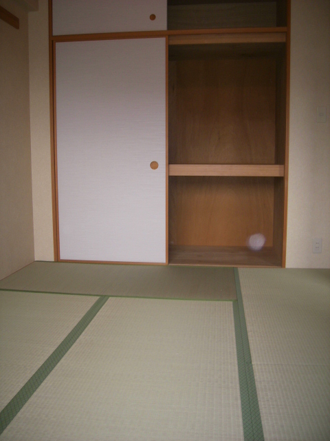 その他部屋・スペース　和室の感じは