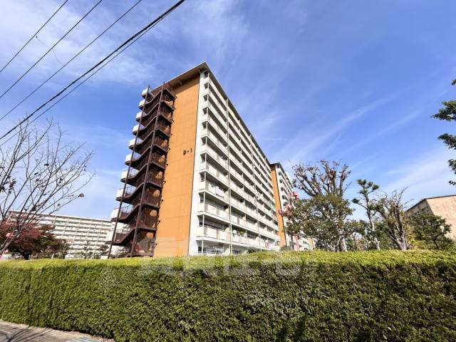 京都市伏見区向島藤ノ木町のマンションの建物外観