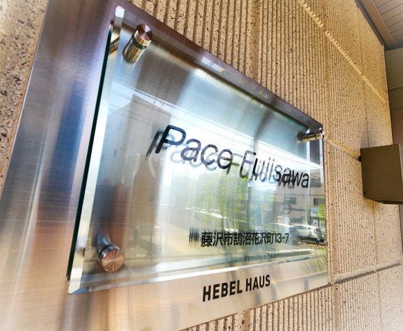 【Ｐａｃｅ　Ｆｕｊｉｓａｗａのその他】