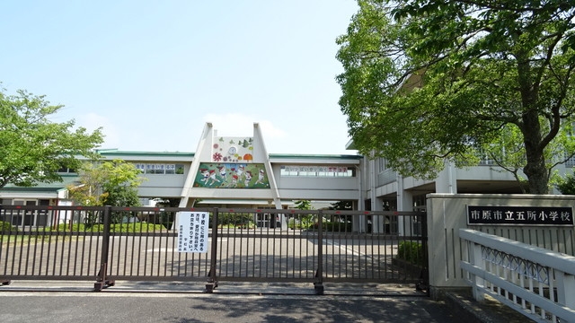 小学校　市原市立五所小学校（小学校）まで750m