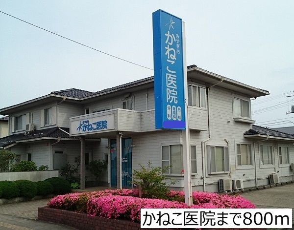 病院　かねこ医院（病院）まで800m