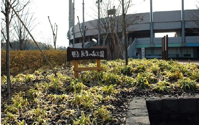 公園　県立長生の森公園（公園）まで2600m