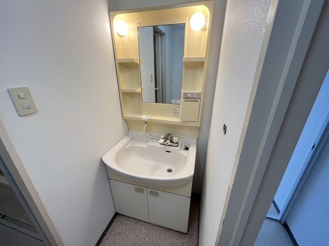 洗面設備　※別号室の写真です。