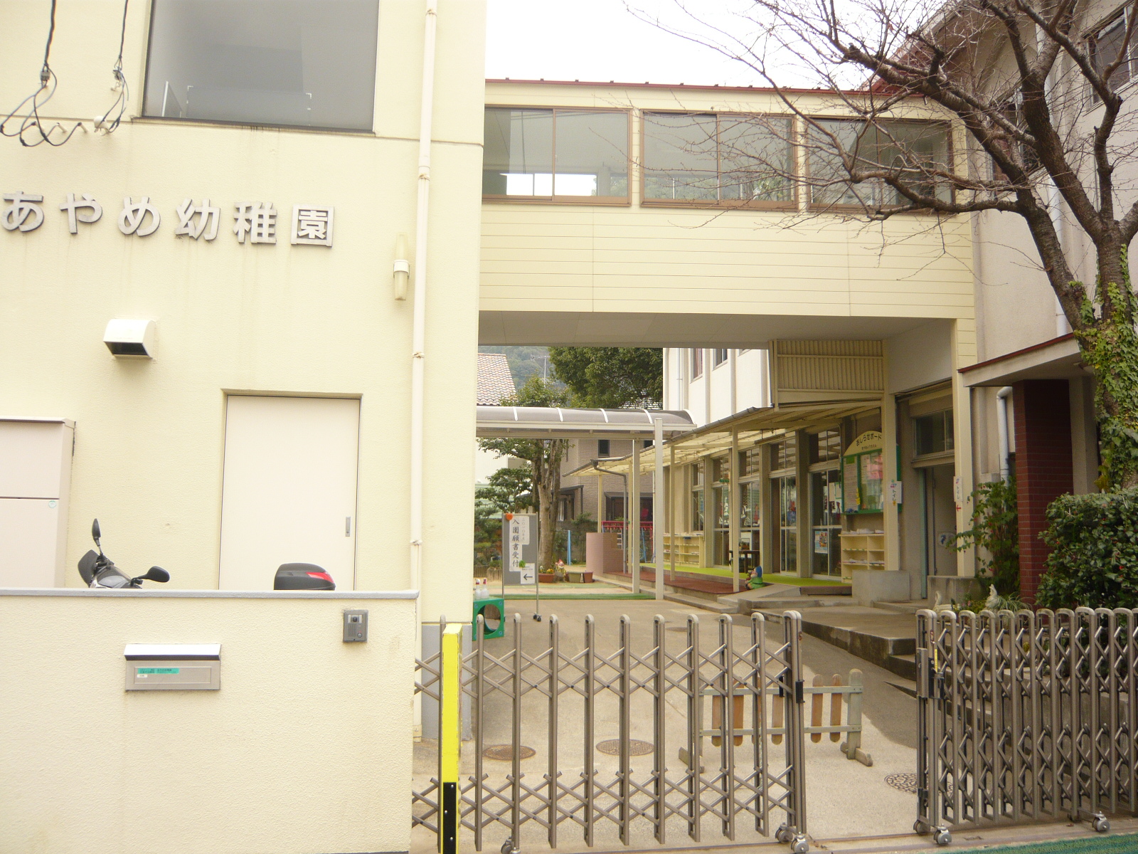 幼稚園・保育園　あやめ幼稚園（幼稚園・保育園）まで100m