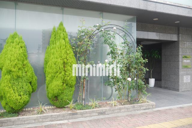 エントランス　お洒落なエントランス