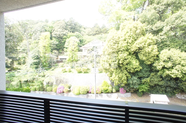 眺望　お部屋前には緑があるので、心癒されますね☆