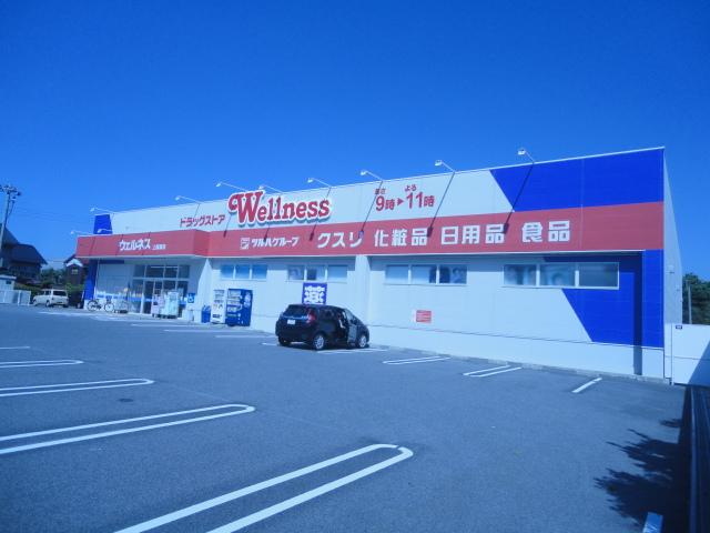 その他　ドラッグストアウェルネス上福原店まで784ｍ