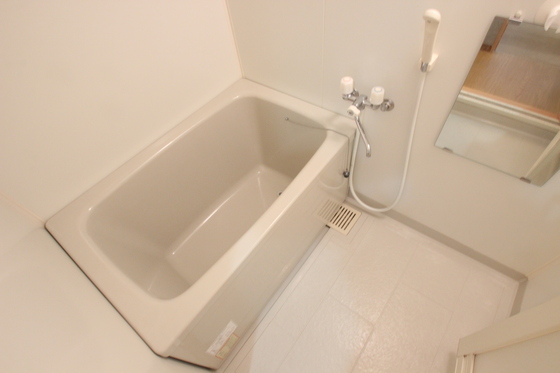 バス・シャワールーム　※別部屋の写真です