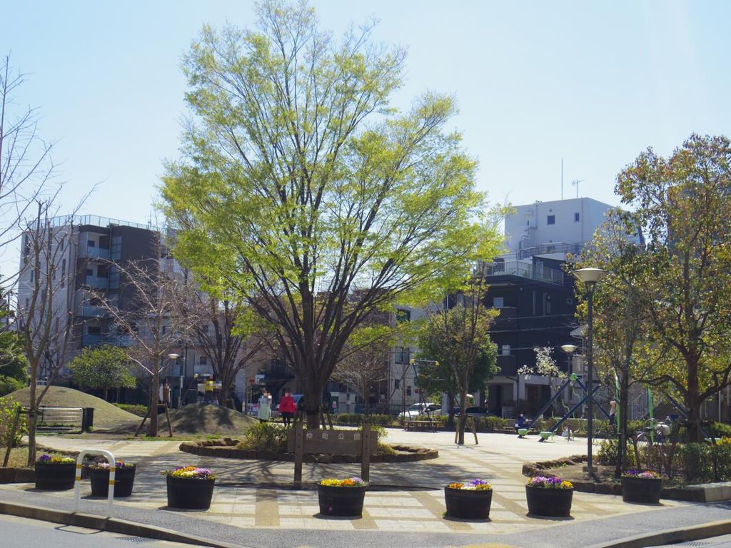 公園　仲町公園（公園）まで470m