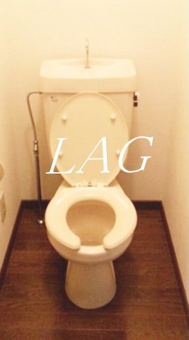 トイレ　トイレです。