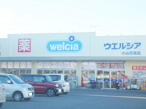 ドラックストア　ウエルシア小山花垣店（ドラッグストア）まで770m