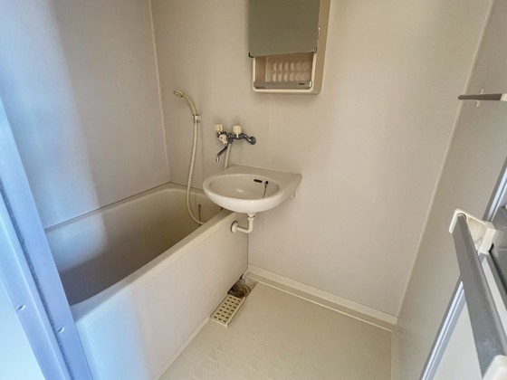 バス・シャワールーム　※別部屋の写真です