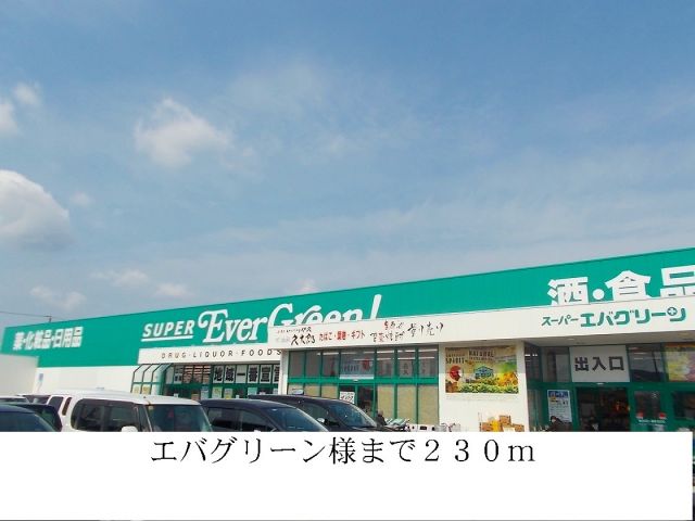 スーパー　エバグリーン様（スーパー）まで230m