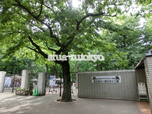 その他　井の頭自然文化園（動物園）（その他）まで484m