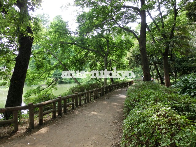 公園　井の頭恩賜公園（公園）まで249m