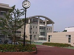 小学校　桜小学校（小学校）まで517m