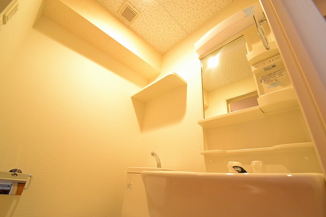 洗面設備　独立洗面台＊号室・階数によって色味違います