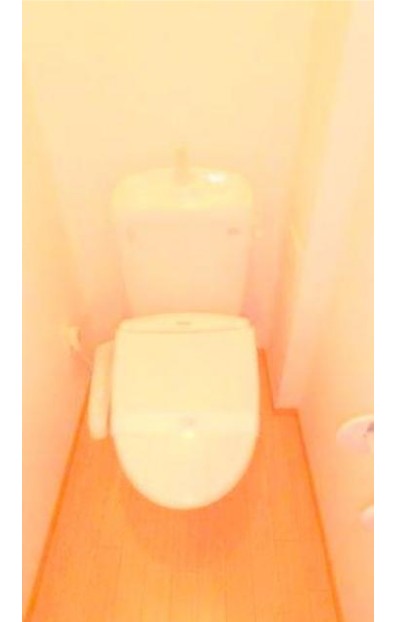 トイレ　☆トイレ☆