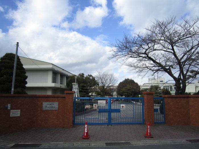小学校　守山小学校（小学校）まで186m