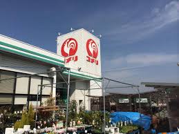 ホームセンター　コメリハード&グリーン高松香南店（ホームセンター）まで160m