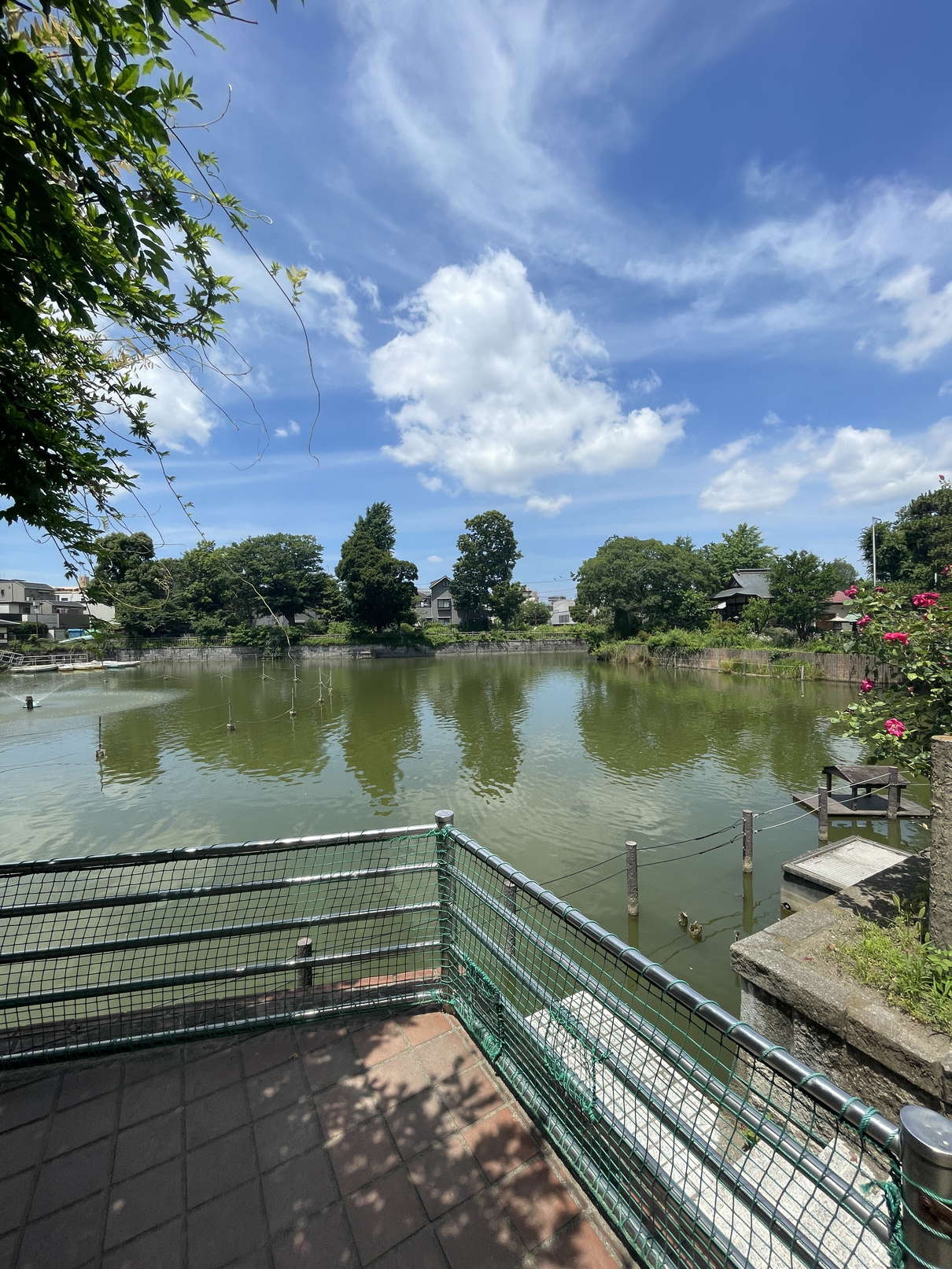 公園　碑文谷公園（公園）まで749m