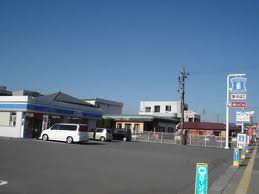 コンビニ　ローソン高木3丁目店（コンビニ）まで217m