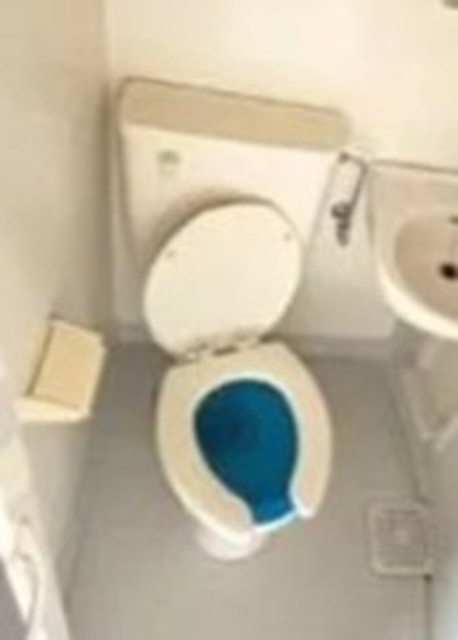 トイレ　１Ｆ他部屋参考。