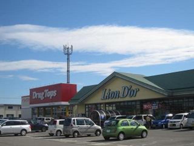 スーパー　リオン・ドール燕北店（スーパー）まで816m