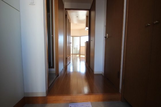 玄関　※他部屋の写真です。