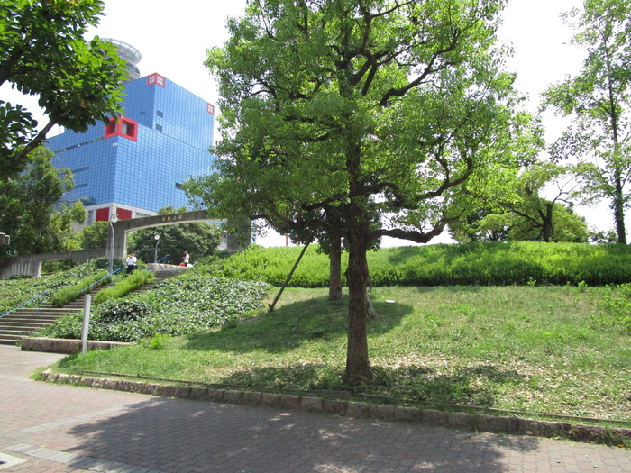 公園　扇町公園（公園）まで672m
