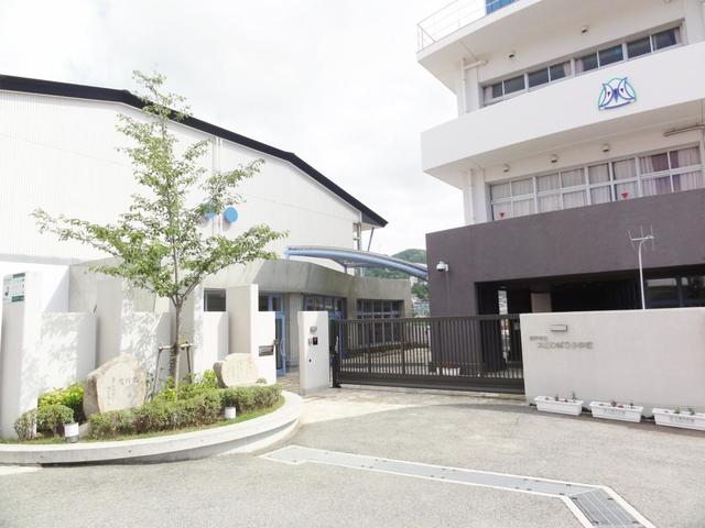 小学校　神戸市立丸山ひばり小学校（小学校）まで747m