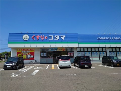 ドラックストア　くすりのコダマ上越国府店（ドラッグストア）まで800m