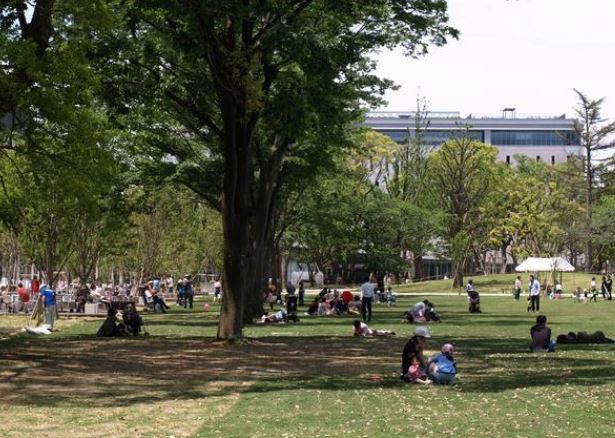 公園　中野四季の森公園（公園）まで445m