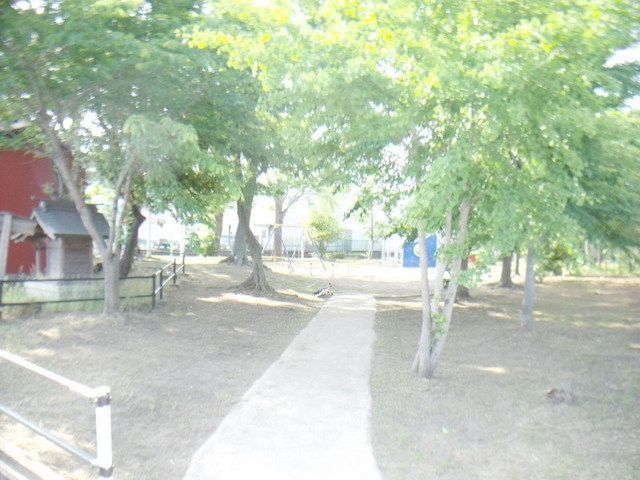 その他　八幡公園（その他）まで20m