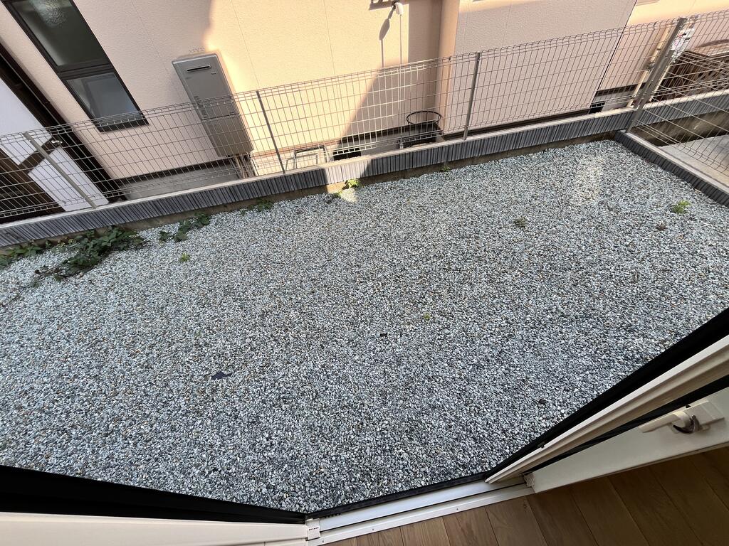 庭