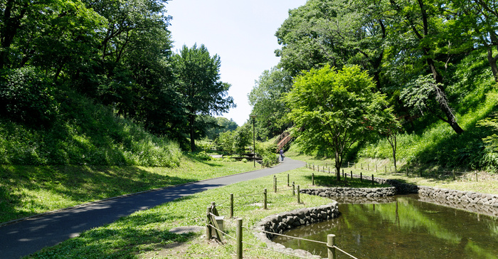 公園　保土ケ谷公園（公園）まで300m