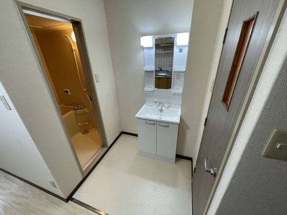 洗面設備　※別部屋の写真です