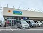ドラックストア　ゲンキーひばり通り店様（ドラッグストア）まで540m
