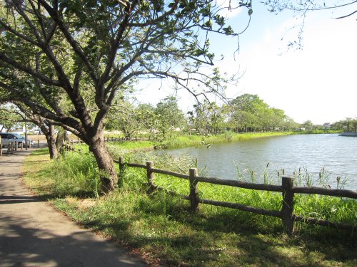 公園　乙戸沼公園（公園）まで1411m