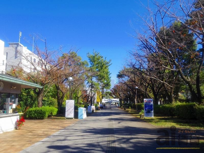 その他　私立東京経済大学（その他）まで910m