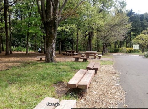 公園　小宮公園（公園）まで316m